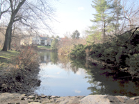 Pond2tn
